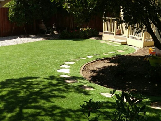 Artificial Grass Photos: Turf Grass La Quinta, California Garden Ideas, Backyard Design