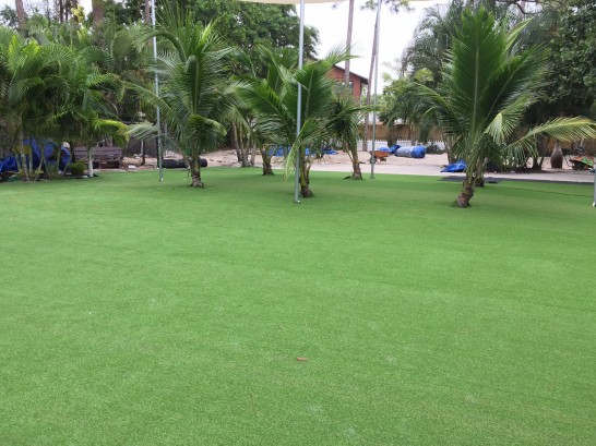 Artificial Grass Photos: Green Lawn Inyokern, California