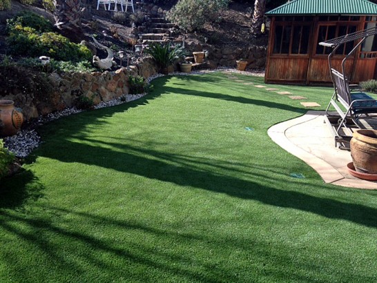 Artificial Grass Photos: Synthetic Turf Port Hueneme California  Landscape  Pavers