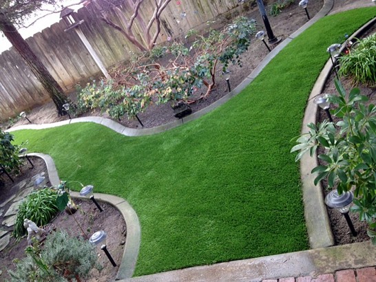 Artificial Grass Photos: Artificial Turf Oxnard Shores California  Landscape  Yard