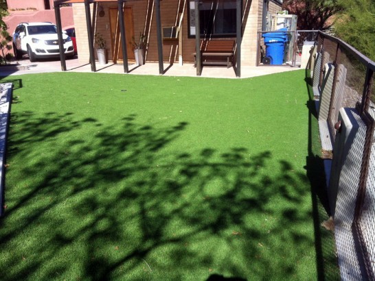 Artificial Grass Photos: Fake Turf Lake Elsinore California  Landscape  Backyard