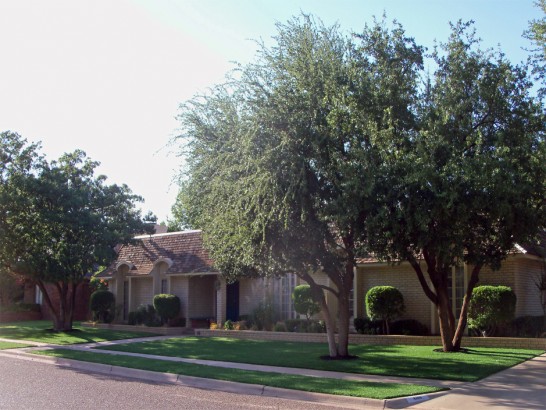 Artificial Grass Photos: Artificial Turf Oxnard California  Landscape  Front Yard