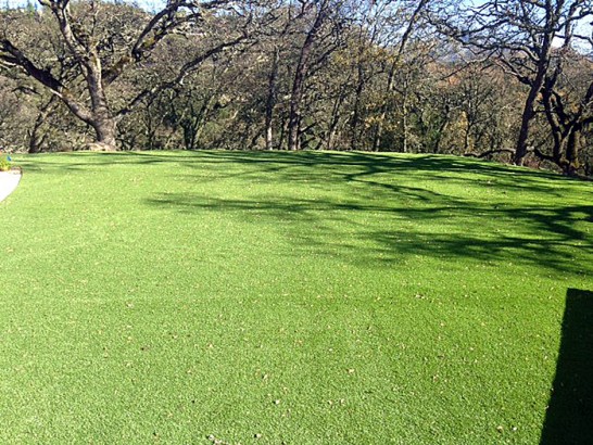 Artificial Grass Photos: Fake Turf Mead Valley California Lawn  Recreational Areas