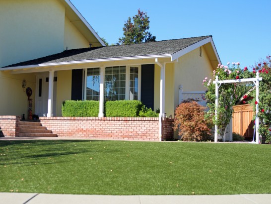 Artificial Grass Photos: Fake Grass Good Hope California Lawn  Front Yard