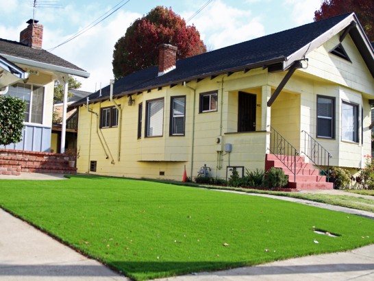 Artificial Grass Photos: Synthetic Turf Highland California  Landscape  Front Yard