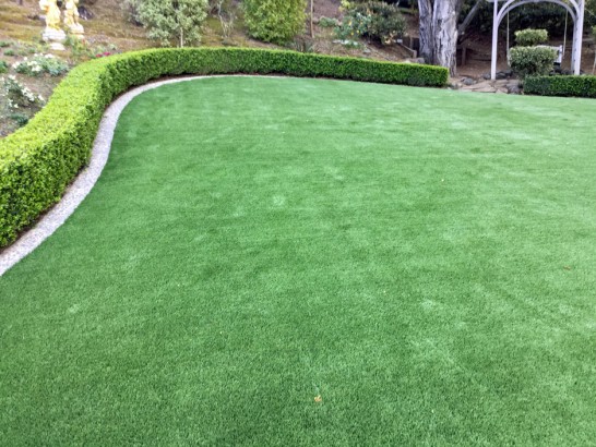 Artificial Grass Photos: Fake Turf Sun City California  Landscape  Yard