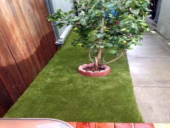 Fake Pet Turf Gardena California Installation  Backyard artificial grass