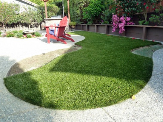 Artificial Grass Photos: Artificial Pet Turf La Crescenta-Montrose California Installation