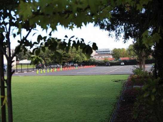 Artificial Grass Photos: Fake Grass Sports Fields West Hollywood California  Landscape