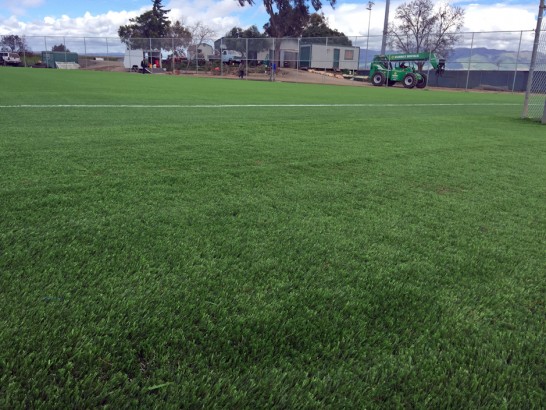 Artificial Grass Photos: Artificial Turf Stadium Cudahy California