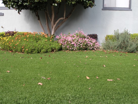 Artificial Grass Photos: Synthetic Turf Canyon Lake California  Landscape  Front Yard