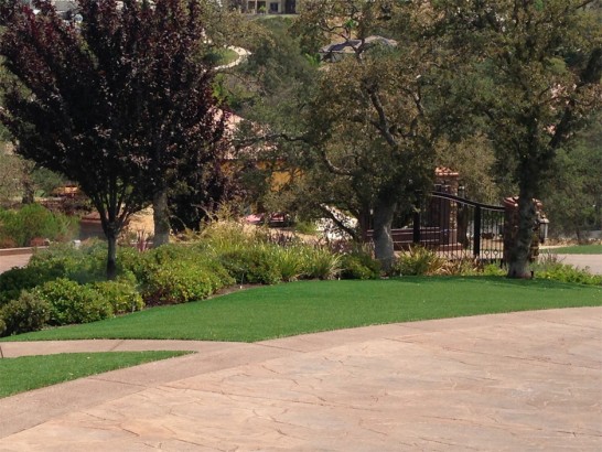 Artificial Grass Photos: Synthetic Grass Redlands California  Landscape  Landscape