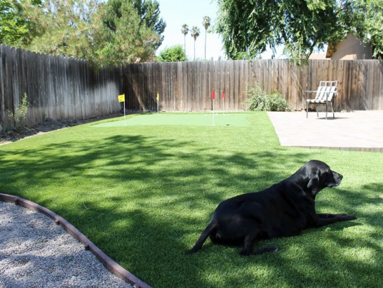 Artificial Grass Photos: Artificial Pet Turf El Monte California for Dogs  Grass for