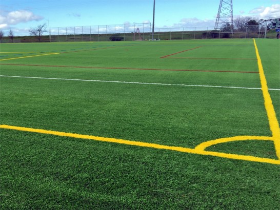 Artificial Grass Photos: Synthetic Turf Stadium View Park-Windsor Hills California