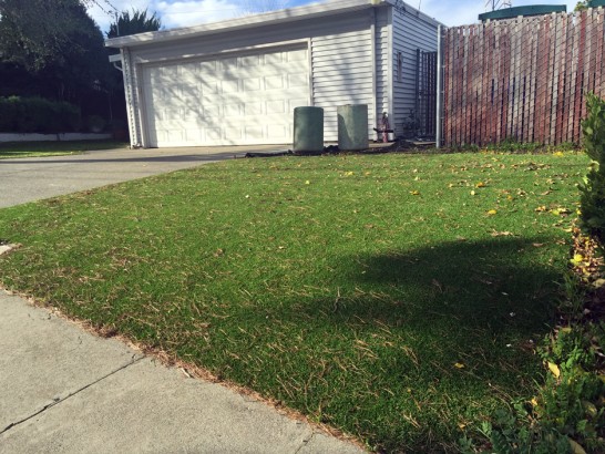 Artificial Grass Photos: Fake Grass Loma Linda California Lawn  Front Yard