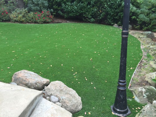 Artificial Grass Photos: Artificial Grass Mentone California Lawn  Backyard