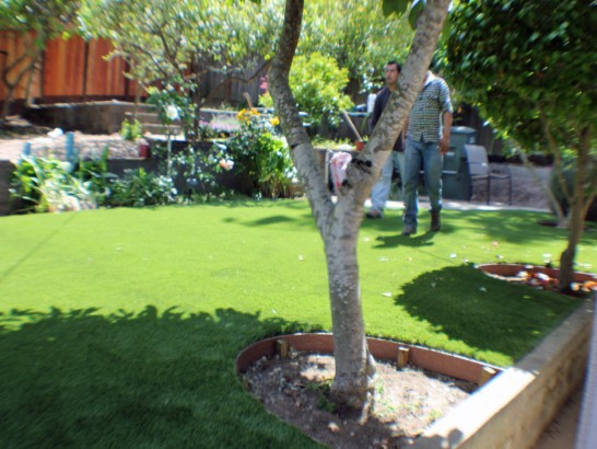 Artificial Grass Photos: Artificial Grass Ojai California  Landscape  Backyard