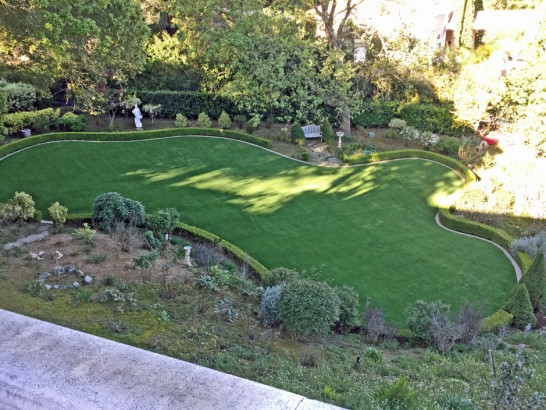 Artificial Grass Photos: Fake Pet Grass Lawndale California for Dogs  Yard