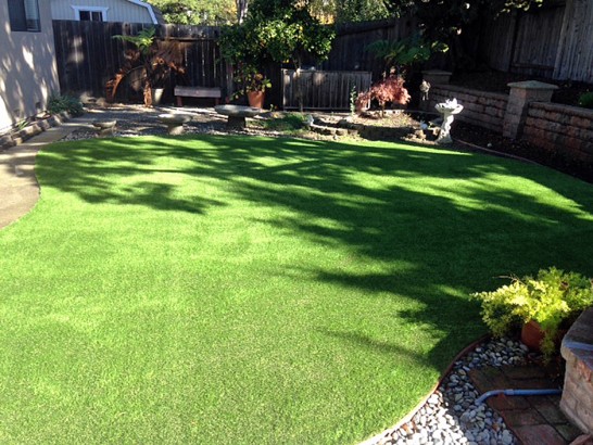 Artificial Grass Photos: Synthetic Pet Turf Alondra Park California Installation  Yard