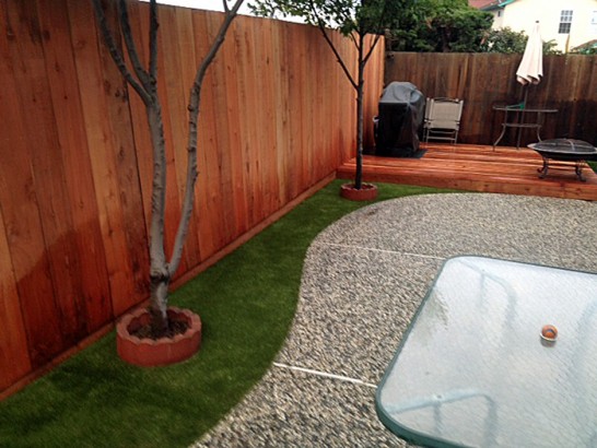 Fake Pet Grass Del Aire California for Dogs  Backyard artificial grass