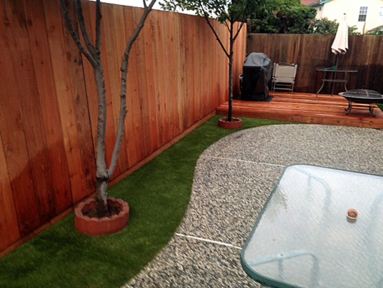 Artificial Grass Photos: Fake Pet Grass Del Aire California for Dogs  Backyard