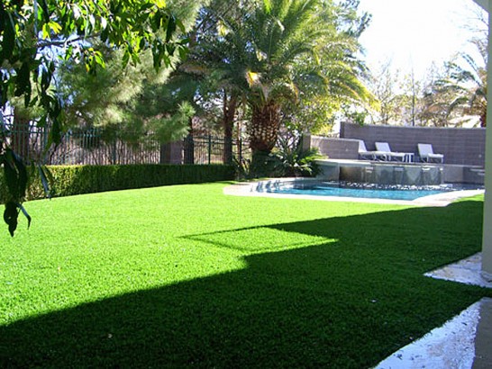 Artificial Grass Photos: Fake Grass Lebec California  Landscape  Pools Yard