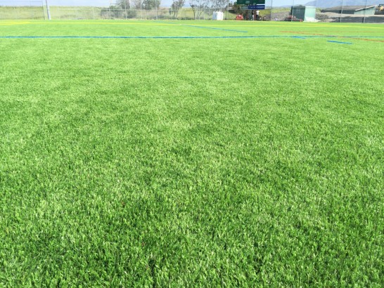 Artificial Grass Photos: Fake Turf Sports Fields Alhambra California