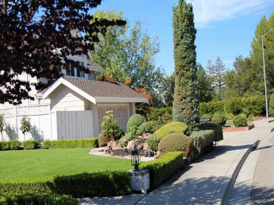 Artificial Grass Photos: Artificial Turf Lakeland Village California  Landscape  Front