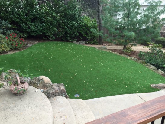 Artificial Grass Photos: Synthetic Turf Lake Arrowhead California  Landscape  Yard