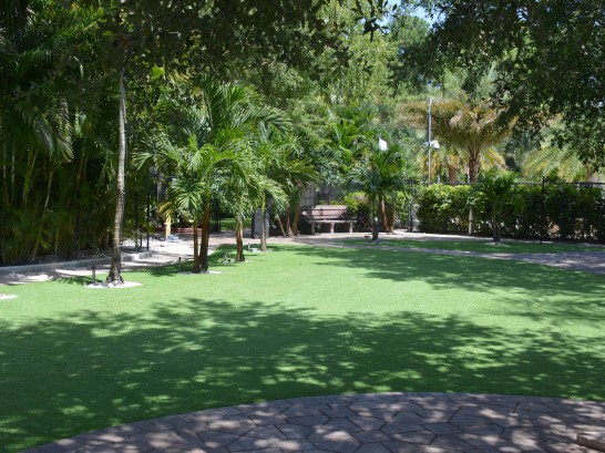 Grass Turf Taft, California artificial grass