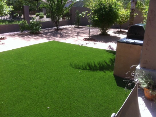 Artificial Grass Photos: Artificial Pet Turf Mira Monte California Installation