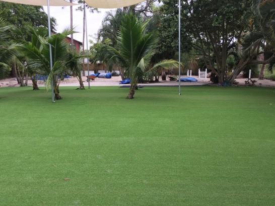 Artificial Grass Photos: Fieldturf Ford City, California