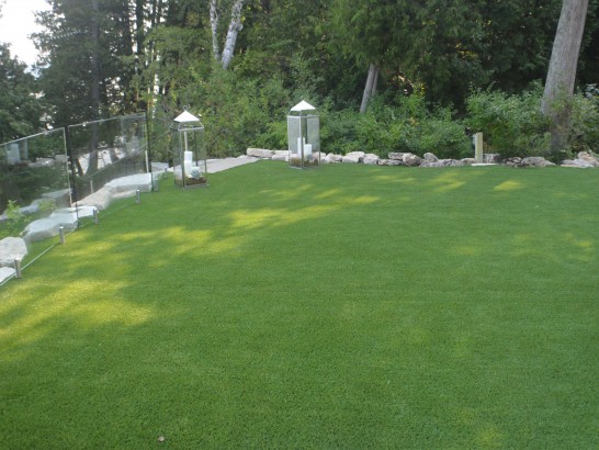 Grass Turf Lemon Grove, California Landscape Design, Backyard Makeover artificial grass
