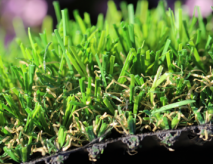 Most Natural Artificial Turf