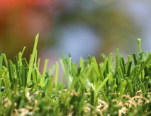 Synthetic Grass Turf