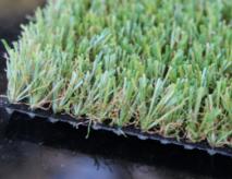 Residential Pet Grass