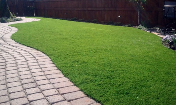 Pet Grass, Artificial Grass For Dogs in Los Angeles
